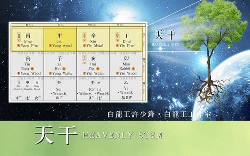 戊癸无情之合会发生什么后果或影响？