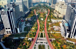 花城汇是个啥？为啥一定要去？！