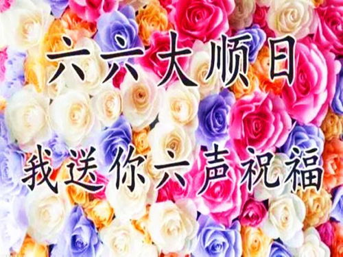 十二生肖运势排行榜中，各生肖完整运势详情具体是什么？