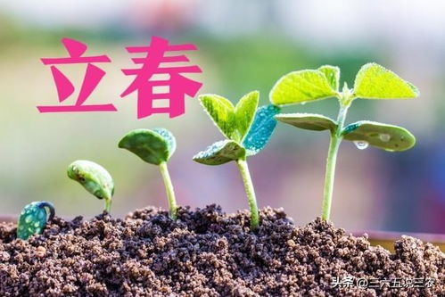立春对应的生肖和属相具体是什么意思？