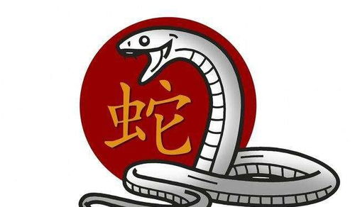 感情运势：炎热爱情与家庭生活的和谐