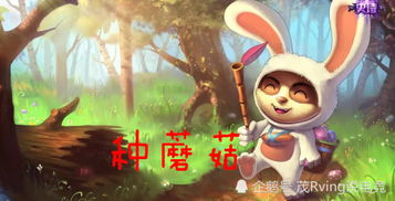 兔宝宝取名，翊辰和翊宸哪个更好呢？