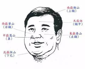 面相风水学入门知识,面相风水学入门知识