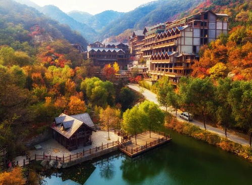 1．鲁味馆：品尝地道鲁菜