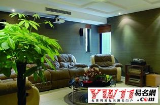 客厅风水植物数量多少,客厅风水植物数量多少合适
