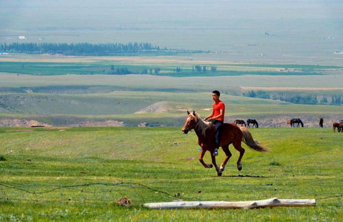 第四天：意外惊喜与无厘头结局