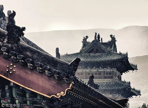 一、进入少林寺的第一眼——石壁上的尘埃与金光