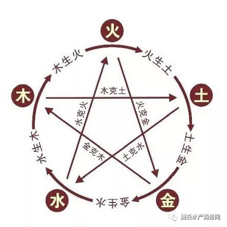啥是这五行啊？