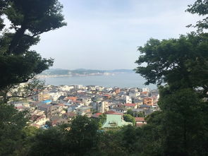 住宿体验：民宅里的奇葩经历