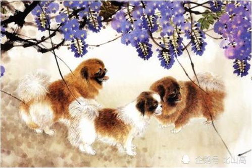 1994年木狗和1982年大海水命狗，起个什么名字好呢？