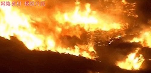 将凶狠土匪烧两天和放火烧山林分别指代哪个生肖？