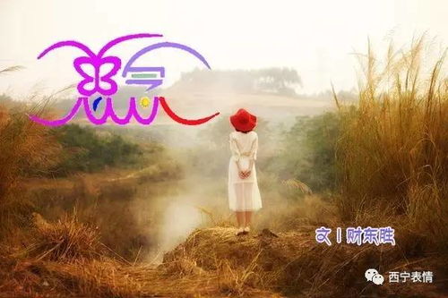 当爱情变成跨国贸易