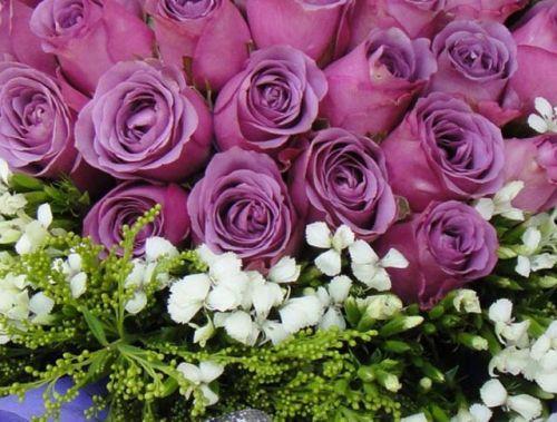 合肥买玫瑰花瓣？别急着下单，这些个“坑”和“宝藏”我先帮你踩过了！