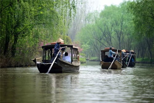 溱湖国家湿地公园：生态天堂？还是蚊子的天堂？