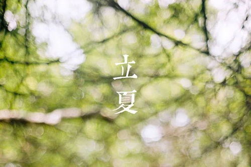 千年盐城立夏风，夏日风情传承爆款