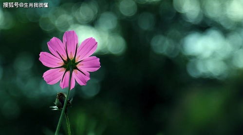 对象家里有钱没钱？疾厄宫告诉你！
