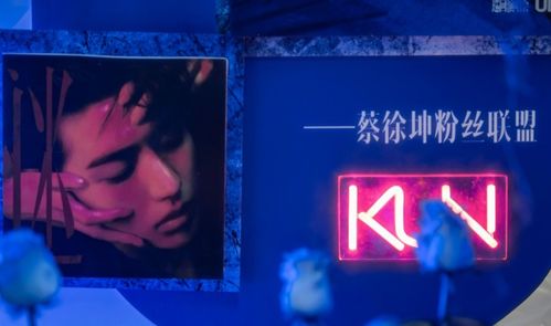 蓝玫瑰蔡徐坤在演唱会应援花墙中代表什么含义？