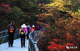 黄山四天三晚游：自助游攻略 (别指望我嫩给你规划好一切)