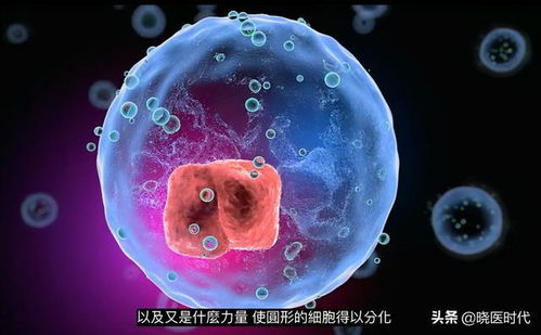 星座生肖大杂烩：那些让你笑掉大牙的玄学联系