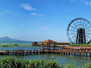 1. 湿地公园：免费的天然氧吧