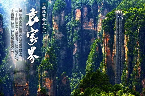 第三天：张家界国家森林公园深度游