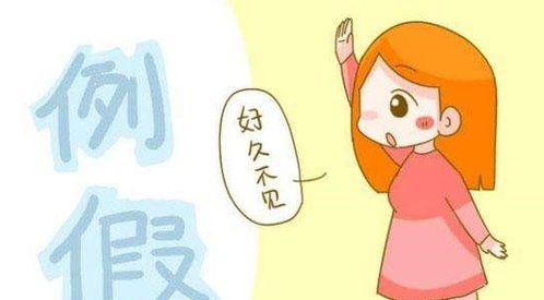 四季不同策略指南