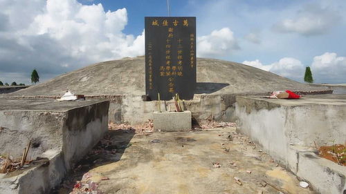 横县地理风水,广西横县风水宝地