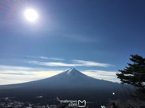 东京富士山箱根瞎逛指南：那些导游不会告诉你的破事儿