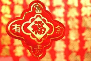 五月出生的社交达人