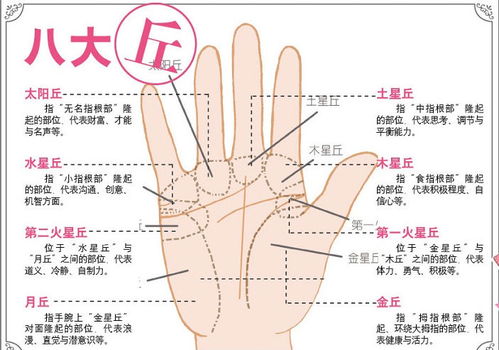 性欲线：情欲漩涡的入口
