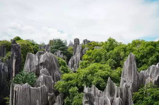 春季活动推荐（随意写）