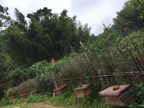 2. 没人告诉你的超级大坑！