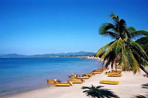 美食与文化的盛宴