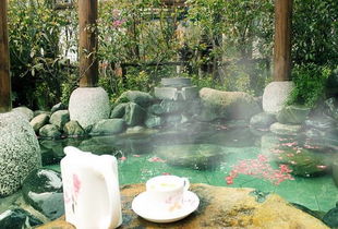 究竟去哪儿泡才够味儿？我的独家推荐（慎重！）