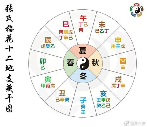 如何从八字命理角度详细解读十二地支的含义？