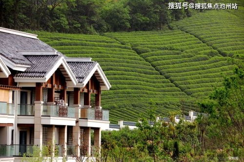 数据说话：2024年阳明山温泉酒店的“真实实口碑排行榜”