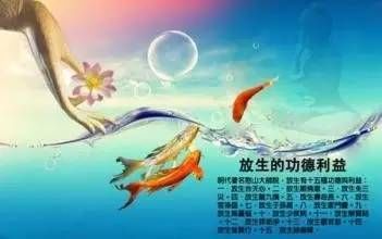 放生时 怎样确保发心正确，避免贪求功德呢？（噪音警告：有可能会有情绪变化波动）