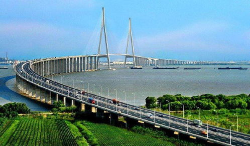 2026年最新避坑指南（气到颤抖版）