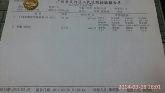 结论
