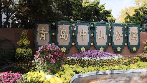 啊！中山公园！那个让人魂牵梦萦的破地方！
