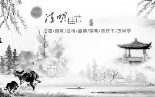 六、 星座运势的乱入：当西方星座遇上东方清明
