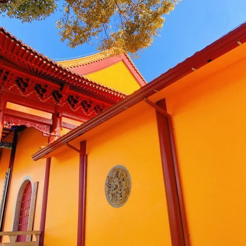 震惊！洗心禅寺门票居然还能这样买？！看完直接裂开！