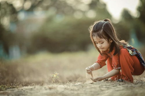朱家小公主取名指南：让你的宝贝名字又土又潮