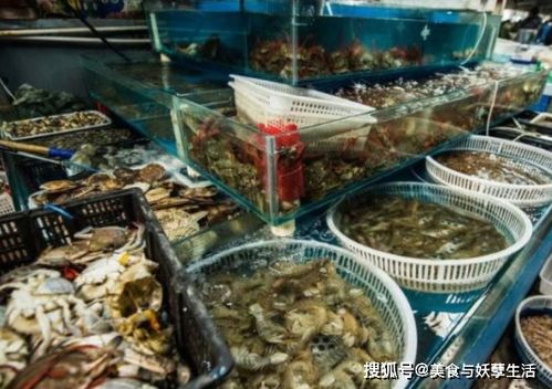 震惊！珠海海鲜市场黑幕曝光 2026年黄历竟暗藏玄机