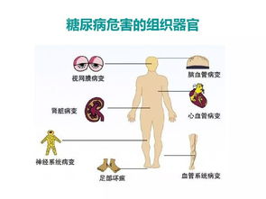 震惊！十二生肖居然和吃饭有关系？看完直接裂开！