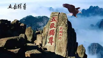 回忆里的童话世界