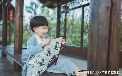 二、  命名原则：音韵与寓意的双重考量