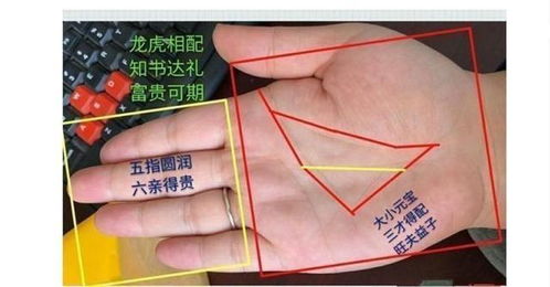 五、 实战案例：随便举几个例子，让你立刻上手！