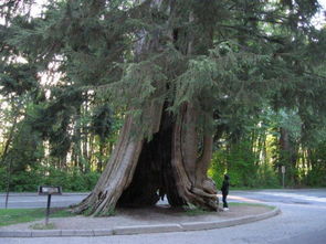 惯与“财库”：