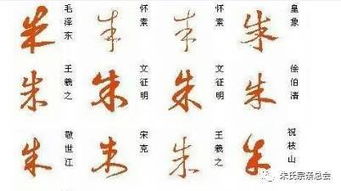 朱家小子起名大作战：从五行玄学到家长脑洞大开